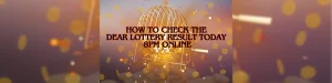 dear lottery result today 8pm